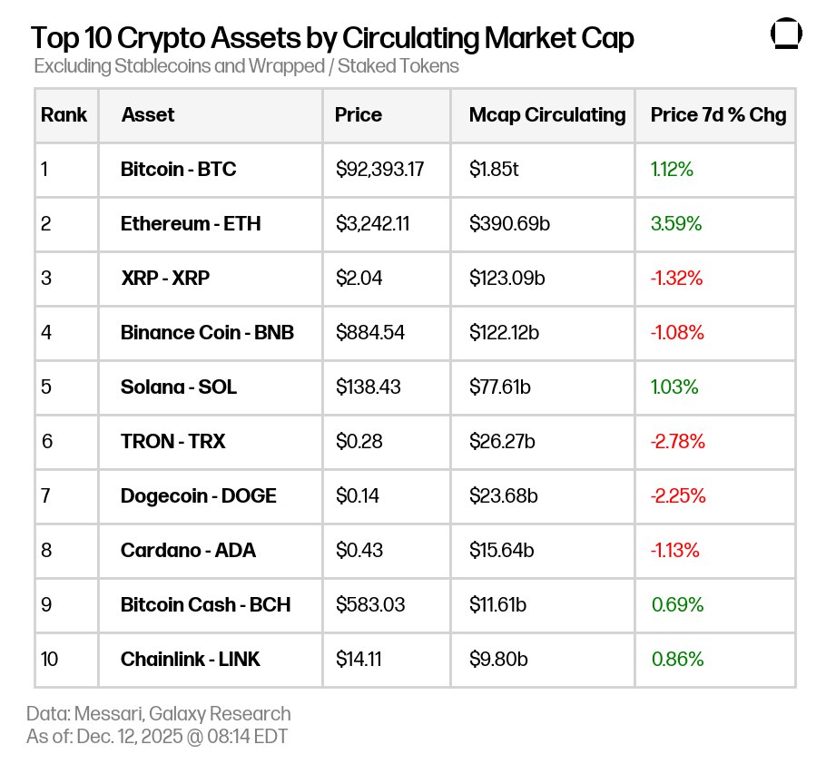 photo_2025-12-12 08.14.42