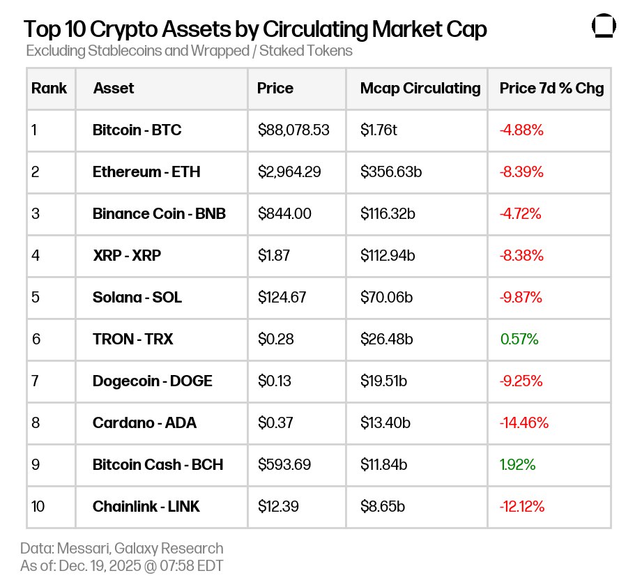 photo_2025-12-19 08.27.50