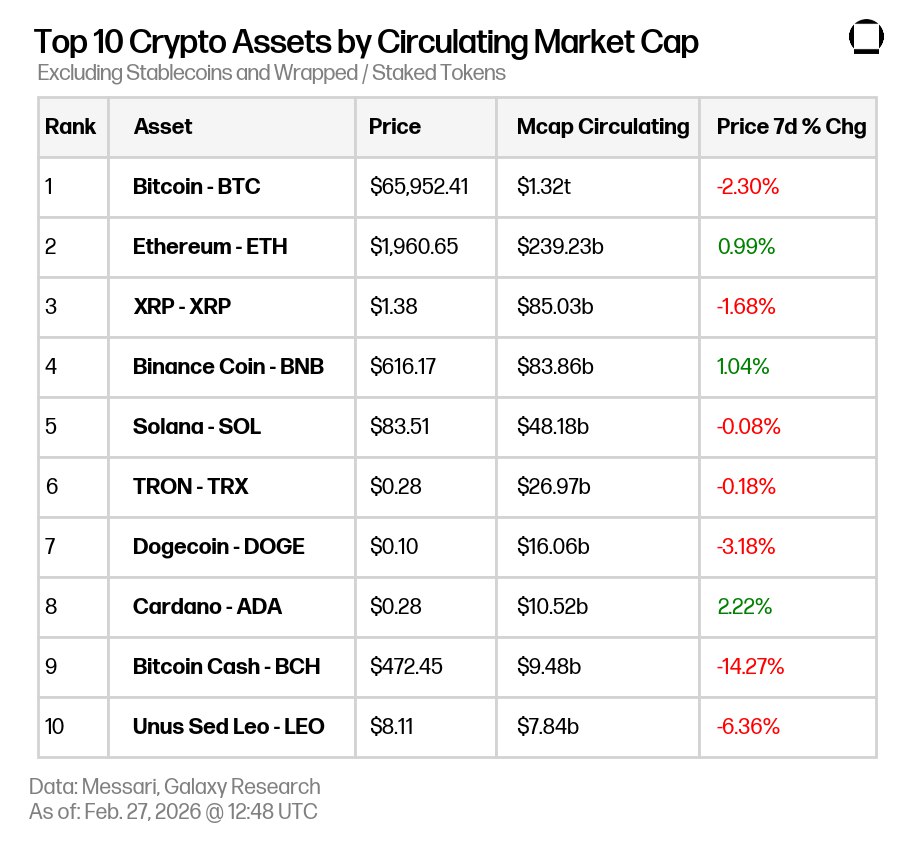 photo_2026-02-27 08.11.08
